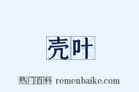 壳叶是什么意思的图片